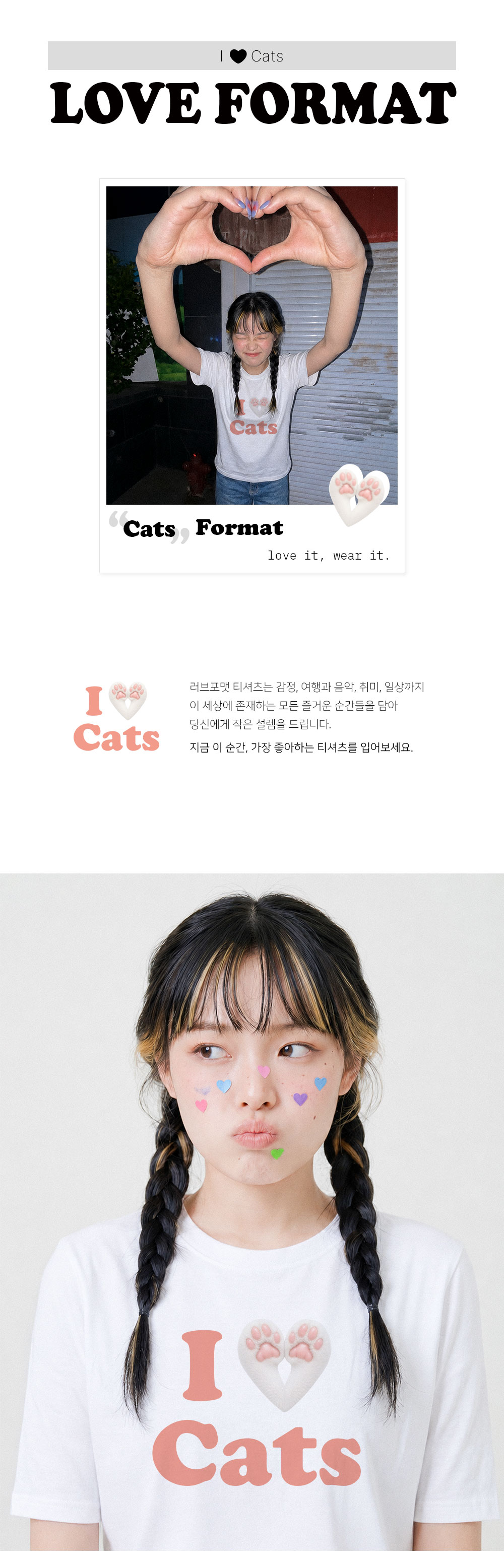 08_Cats_01.jpg